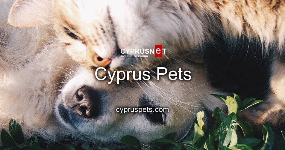 Cyprus Pets